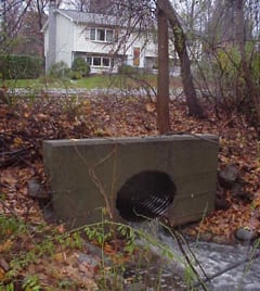Virginia Street/Carolina Drive Drainage Improvements